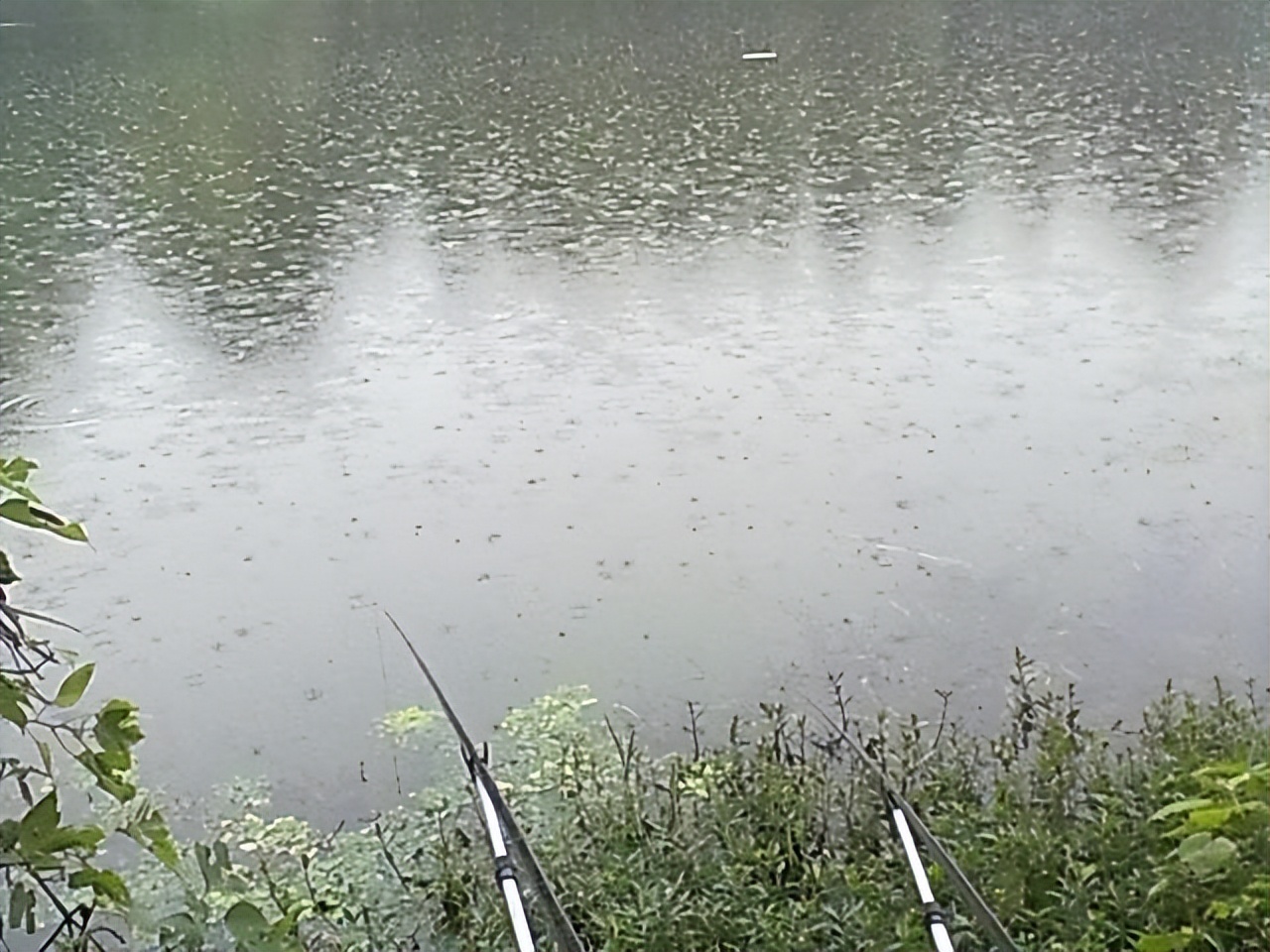 |掌握这五种天气下的钓鱼技巧，能让人一看就会认为是内行