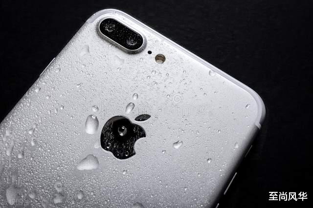 iPhone|iPhone手机中最低调的APP软件，拥有很多功能，知道他是谁吗？