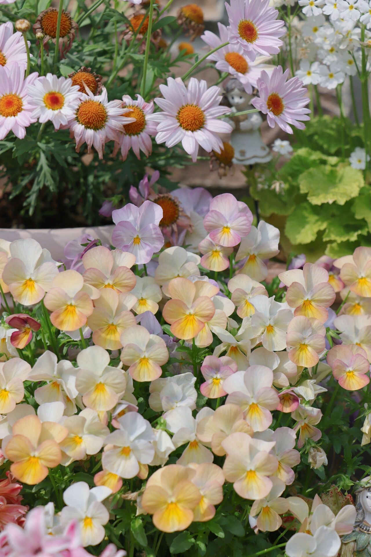 1年前,买了一栋带200m2花园的房子,不装修也要先把花园建起来