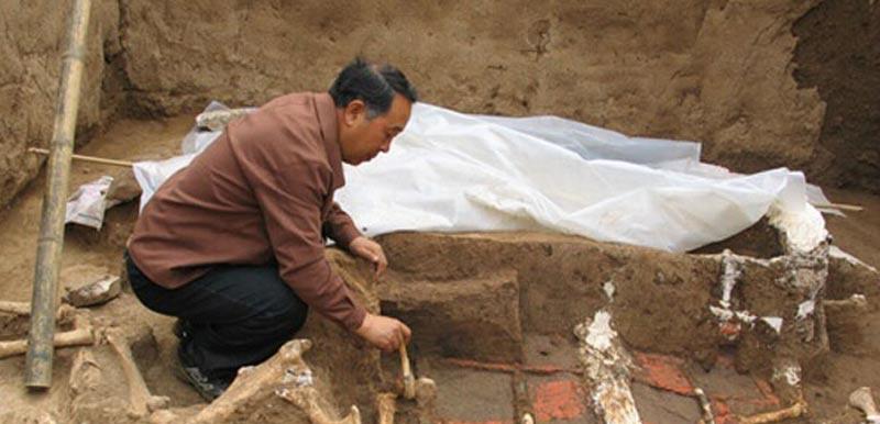 秦始皇祖母墓出土奇怪生物头骨，专家百思不解，外国专家指出原因