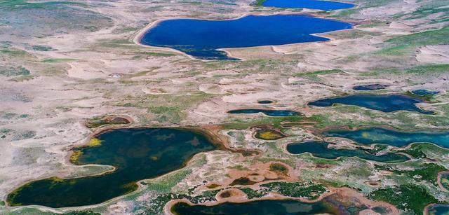 迪拜|迪拜明智的选择，将中国“海水稻”种在沙漠，直接变“粮仓”
