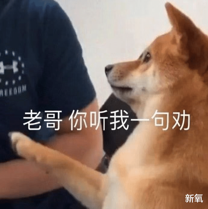 宋慧乔|十年了,宋慧乔的脸好像一直没变过,30岁的时候啥样现在还啥样