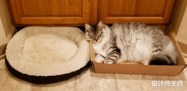 若再买沙发,我一定坚持“6不选”,并非误导,全是血泪教训