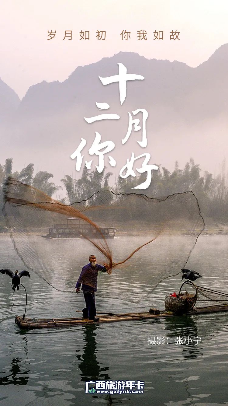 浙江省|你好，十二月！共赏冬酿的时光！| 广西旅游年卡