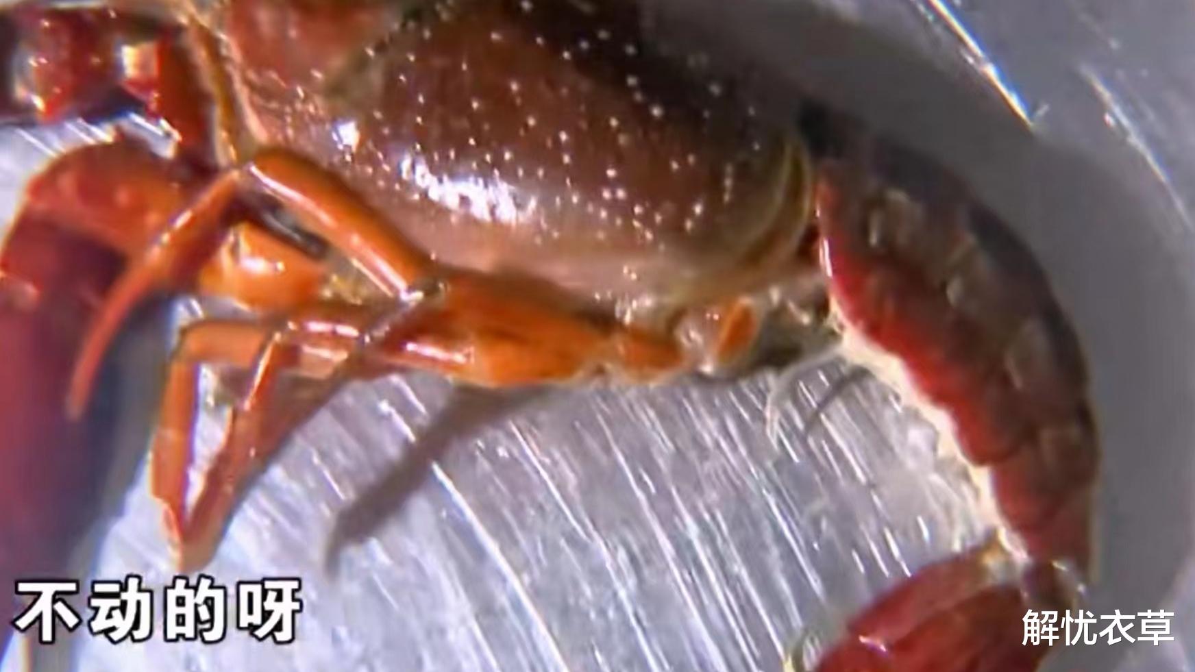 杭州一女子吃完小龙虾拉肚子，要求饭店老板免单、赔偿医药费被拒