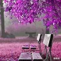 退休|退休后，要不要再找一份工作？3位老人深刻的经历给你答案