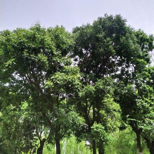 大学|也谈职场学习中的有关话题---老韩头条三言两语杂谈四十五