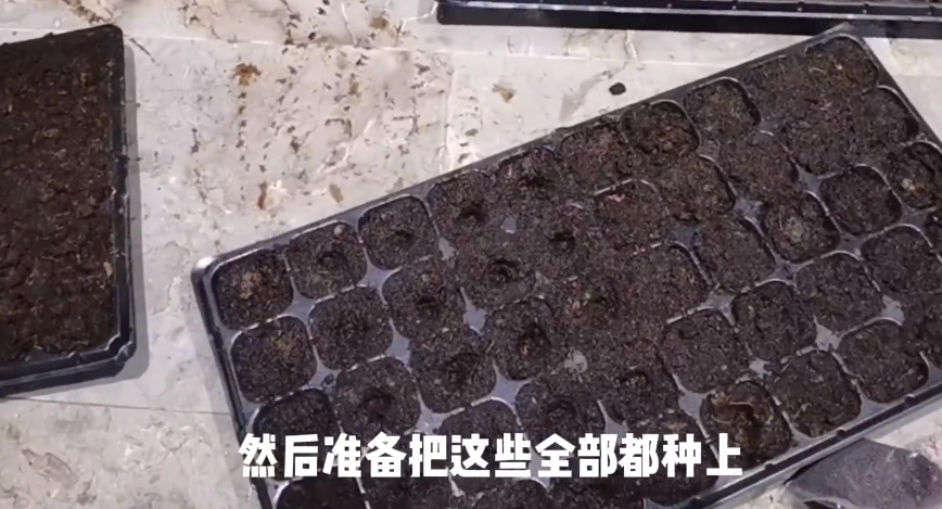 苗苗|《妻子的浪漫旅行》苗苗说郑恺没有兴趣爱好,嘉宾的反应却有亮点