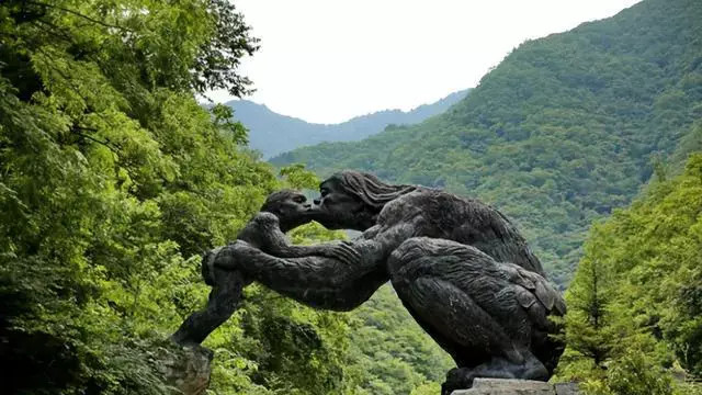 1974年“鸡冠龙”被当作蟒蛇打死，专家：失去解开千古之谜的机会