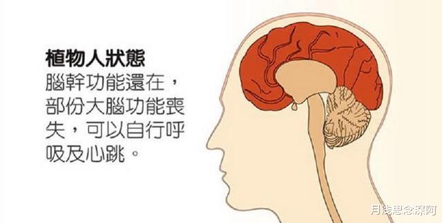 美国发明死而复生技术,人类永生有望?为何有人说这是在犯罪?
