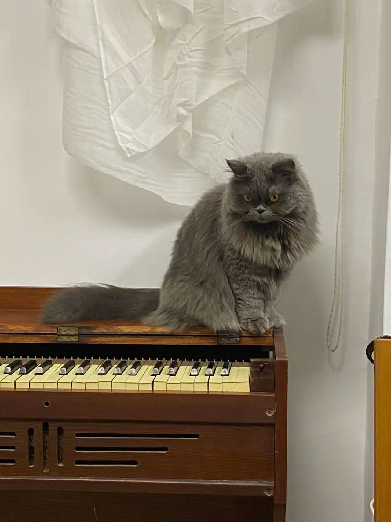 住进广州老城区，她用淘来、捡来的家具装点房子，老旧但好看