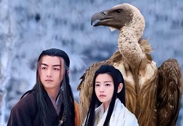 神雕侠侣里面的神雕是什么雕,自然界中真有那么大的雕吗?