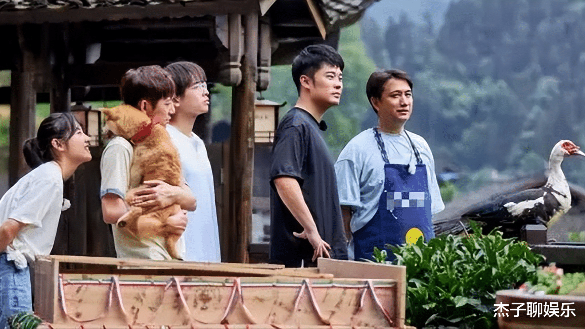 向往的生活|从三个方面来分析，《向往的生活》“自然化”的情节刻画