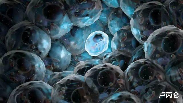干细胞和外泌体到底哪个好?