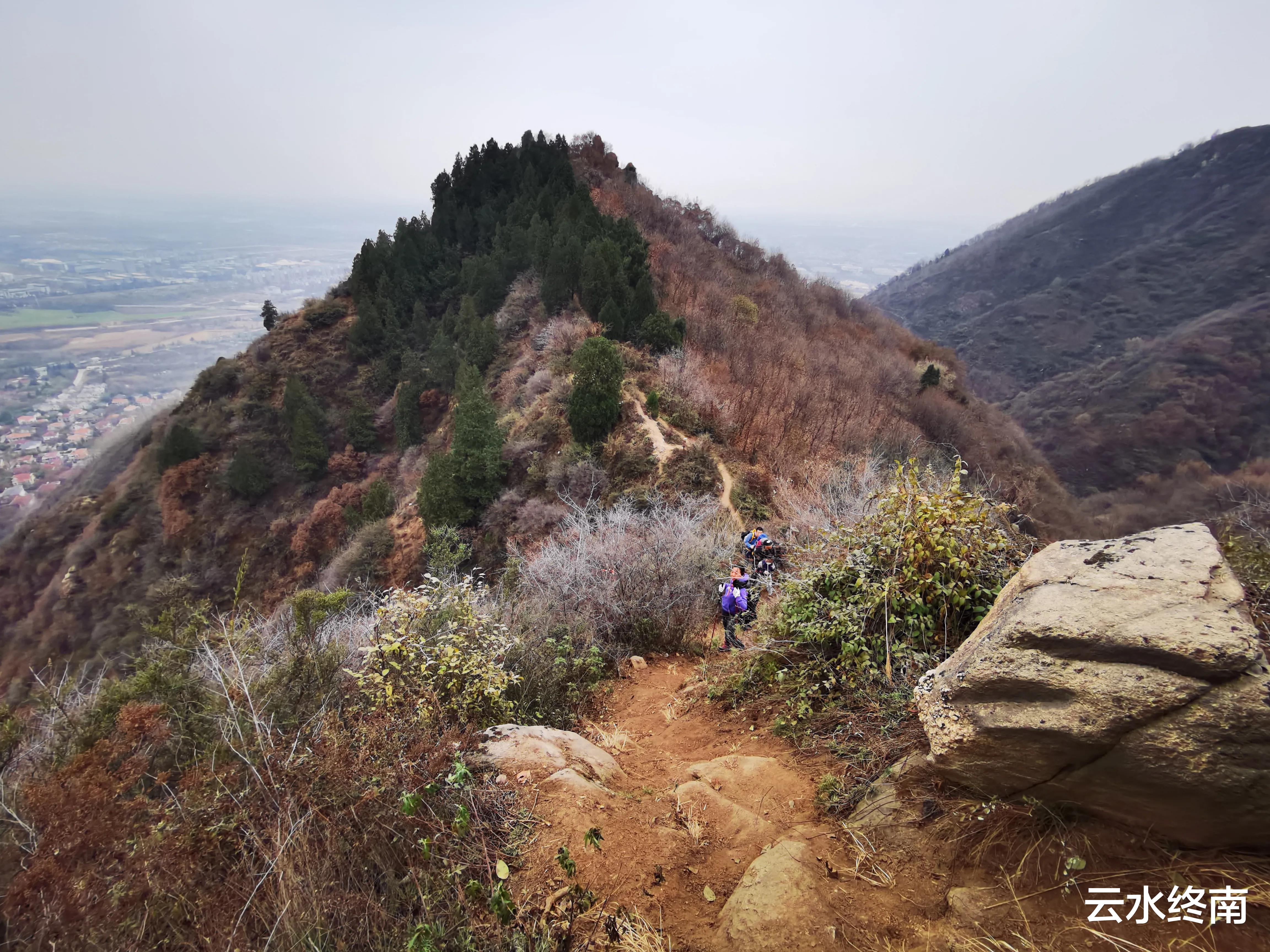 弥勒|海拔900米的秦北麓还有10多亩毛竹林,真是神奇