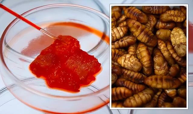 研究发现,年轻人更愿意吃昆虫和实验室培育的肉类