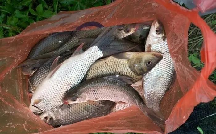 |钓鱼,带钩和无钩调漂,哪一个更适合野钓?