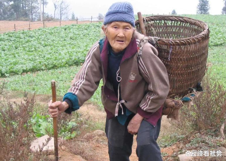 80元请60多岁老人干8小时的活,网友:赚黑心钱,太过分了!
