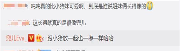 兜儿晒二胎生活，小猪贴心照顾成“贤夫”，女儿被夸比小猪妹可爱