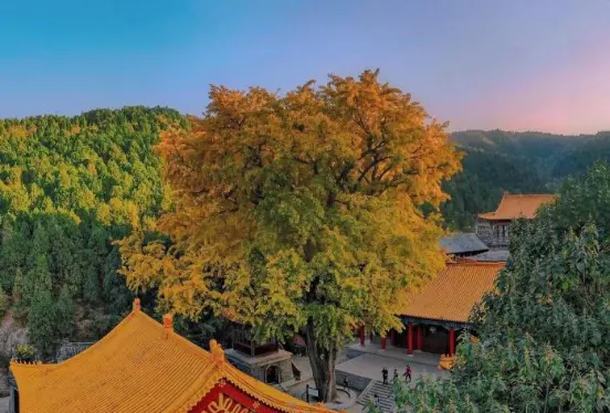 洪江|旅游总想去江南？其实济南才是秋日最佳的旅行目的地