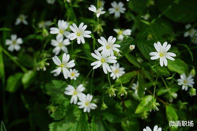 宝宝护理|越是穷人的孩子，成熟得越晚，想要翻身需要做到这四点！