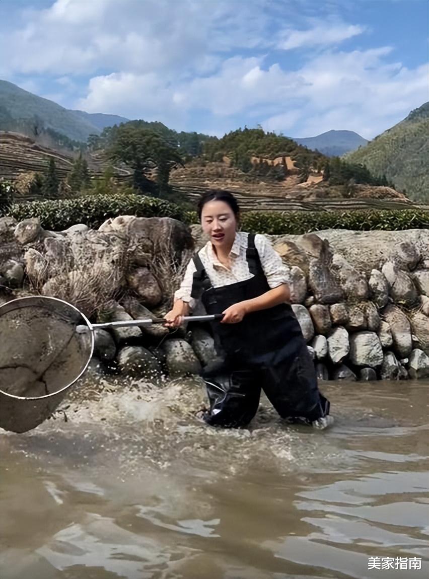 乡亲们|36岁乡愁沈丹的真实生活，挖笋、种地、砍柴，网友：佩服又感动