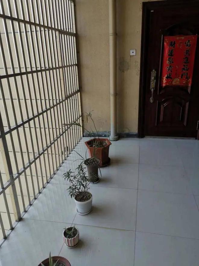 公摊|买的边套房，走廊封起来当专属入户花园，邻居：公摊凭啥都归你！