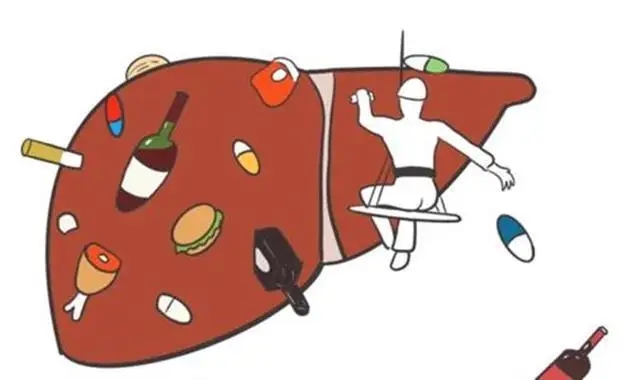 肝功能|肝功能化验单上这几个细节很重要