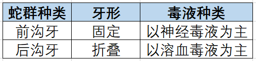 银环蛇的毒性究竟有多毒?被咬伤后会嗜睡但不会无痛苦地一命呜呼