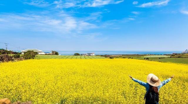 旅游业|疫情的反复，给旅游业带来了哪些影响？一篇文章为您解答