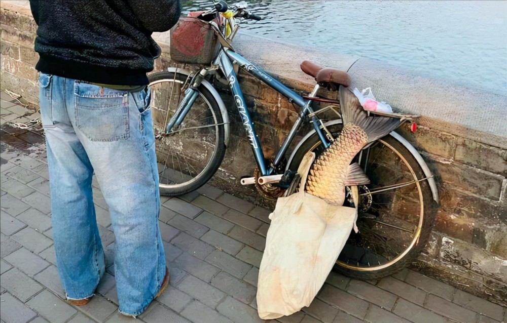 |男子钓到一条草鱼王,鱼鳞都已经发黄了,钓点却颠覆你的认知