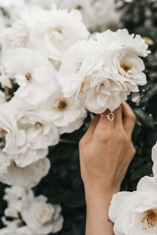 律师|谁说女人离开男人就不能活了？我的经历告诉你不一样的活法（上）