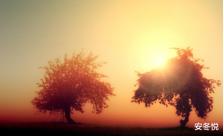 人到中年|人到中年，压力越大，越要明白这三点