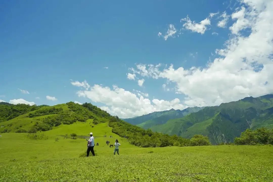 汶川|全域旅游进行时·汶川 | 咔嚓，定格你眼中的无忧四季