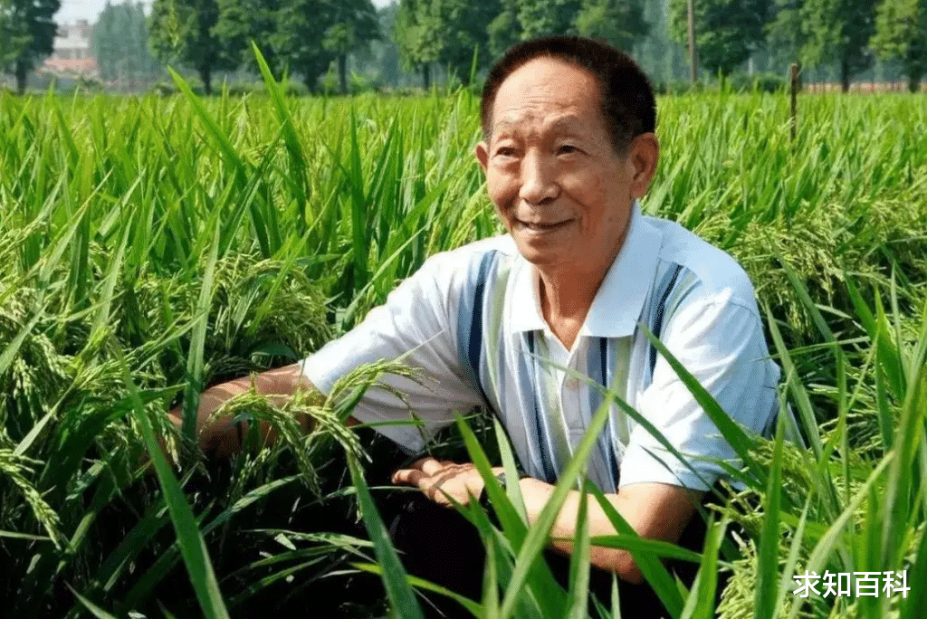 一个果农将果树条悄悄带回国,结果被新西兰告到法庭,赔偿6742万