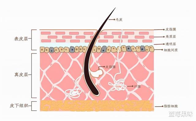 汗疱疹|洗澡搓下来的黑泥到底是什么?显微镜放大100倍,看完一阵恶寒