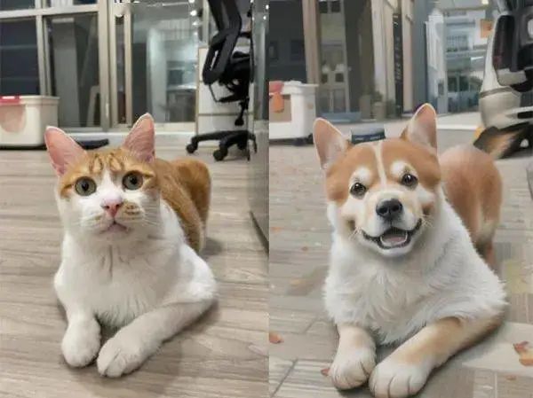 听说AI绘画挺火，于是拿自家猫照片一试后……果然暴露了！