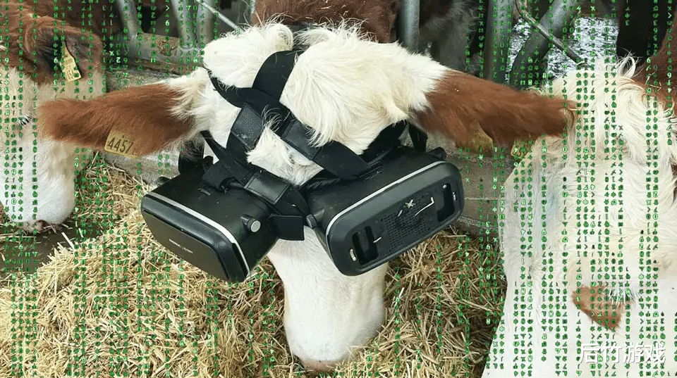 土耳其牧场主给奶牛佩戴VR眼镜，让其保持心情提高产量
