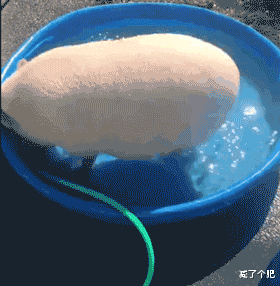 体重秤 减肥天天称体重，但你真的会吗？一篇教你正确称体重