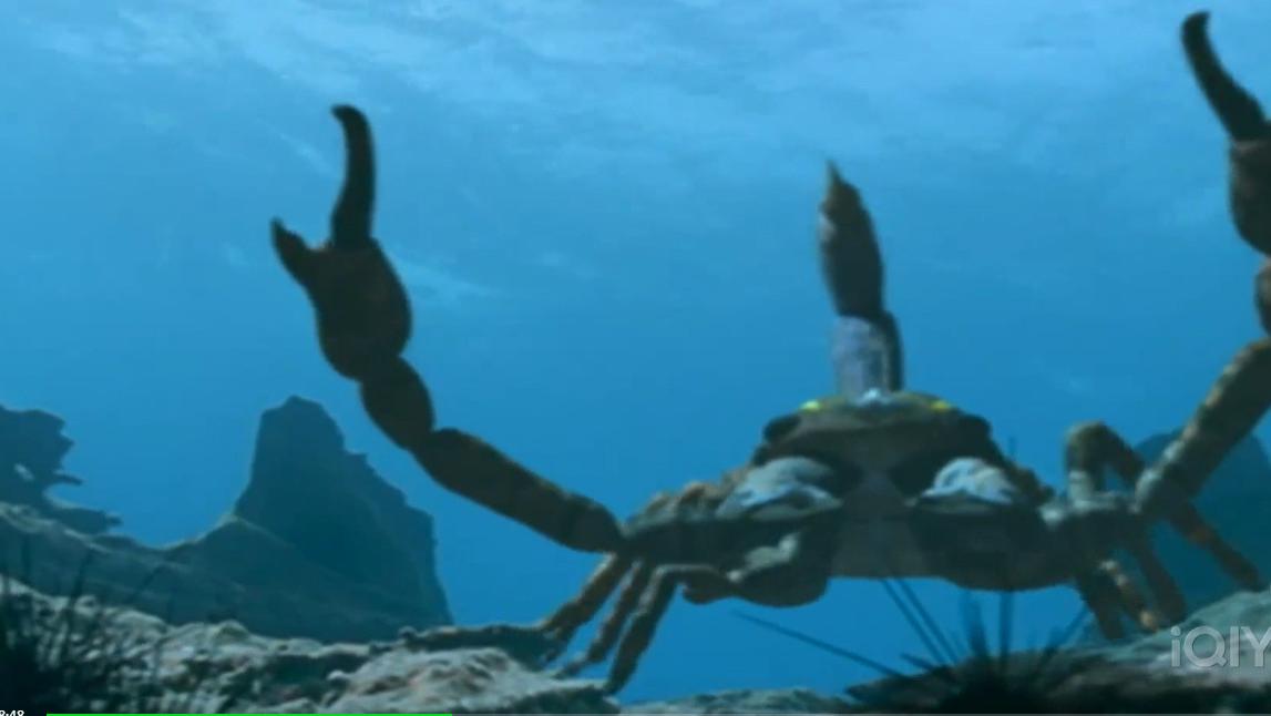 恐怖的水蝎子--------布龙度蝎子