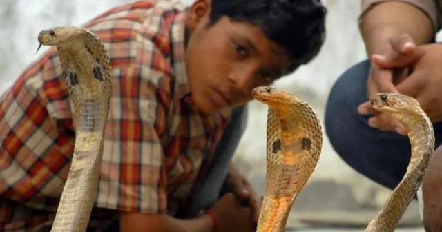 寺庙|泰国的生活中有哪些奇怪的地方?