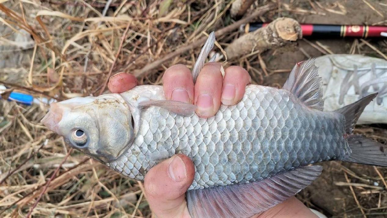 饵料|冬季野钓需“人找鱼”，做到“5钓5不钓”，天冷钓鱼不跑冤枉路