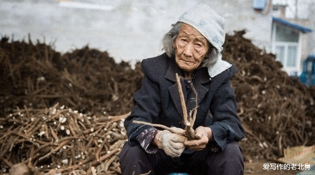 成年人的恶毒到底有多可怕?