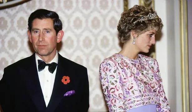 戴安娜王妃|戴安娜王妃令人难忘的“复仇礼服”因Netflix而回归