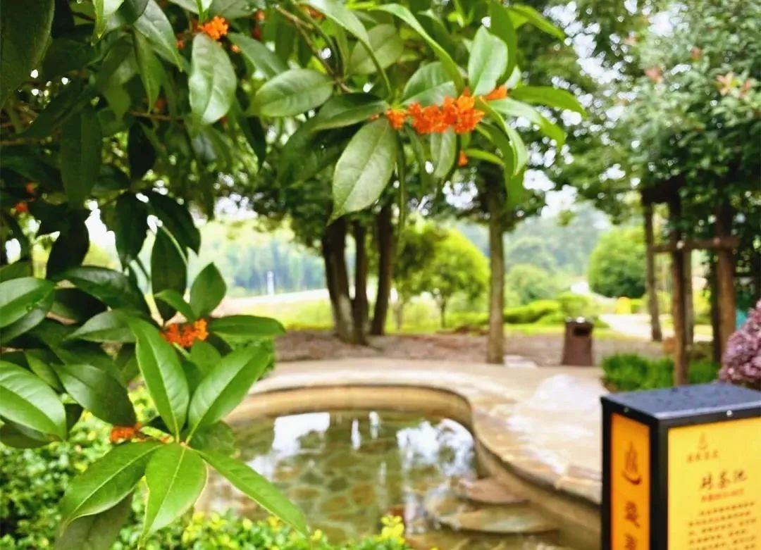 长沙|国庆去哪儿玩 | 沐温泉、赏桂子、逛瑶寨，您有一份国庆攻略待查收