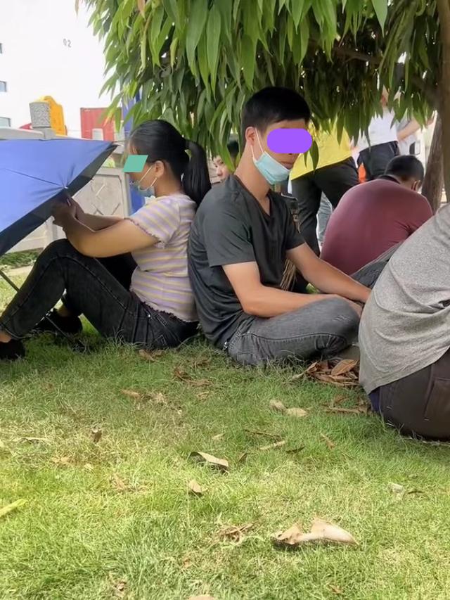 广州市|一对年轻夫妇来广州找工作,应聘的人太多,夫妻背靠背坐树下等待