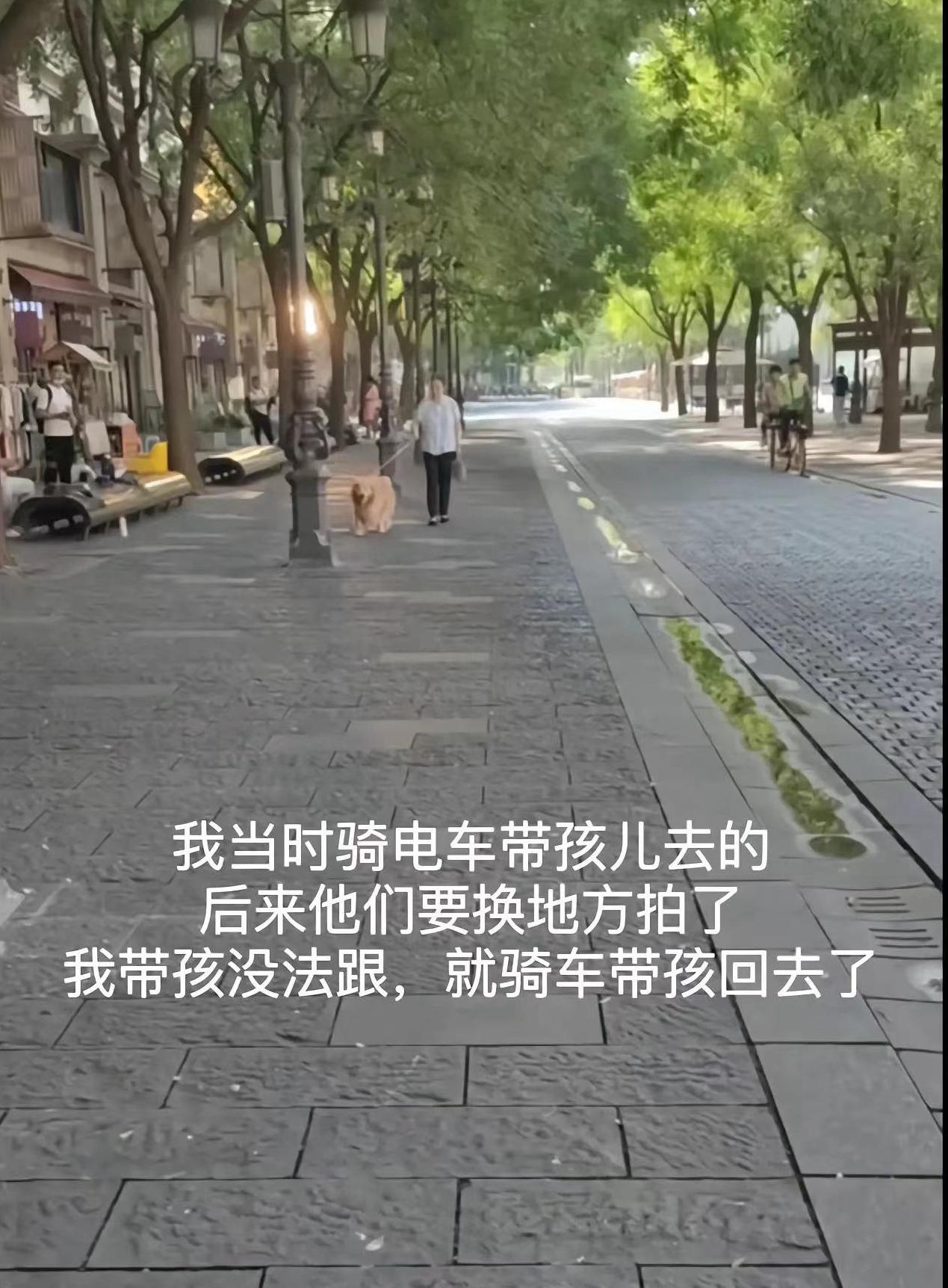 宠物医院|网友称爱犬在剧组拍摄离奇死亡，满嘴泥沙跟血，剧方回应被批凉薄