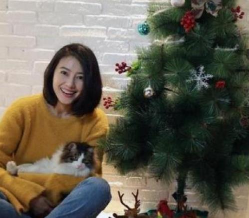 高圆圆晒出自己的家,生活朴素还不做作,夫妻俩完全没有明星样