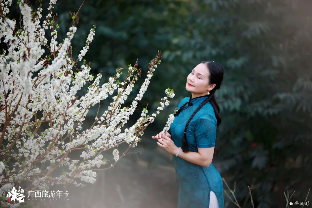 广西旅游|南宁去年爆火的李花仙境又重现！赏花如赏雪！| 广西旅游年卡