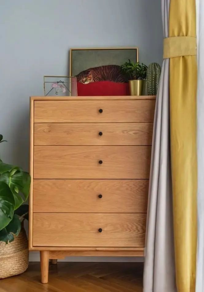 晒晒我家阳台花园,喝茶赏花享受生活,同事来了都舍不得走